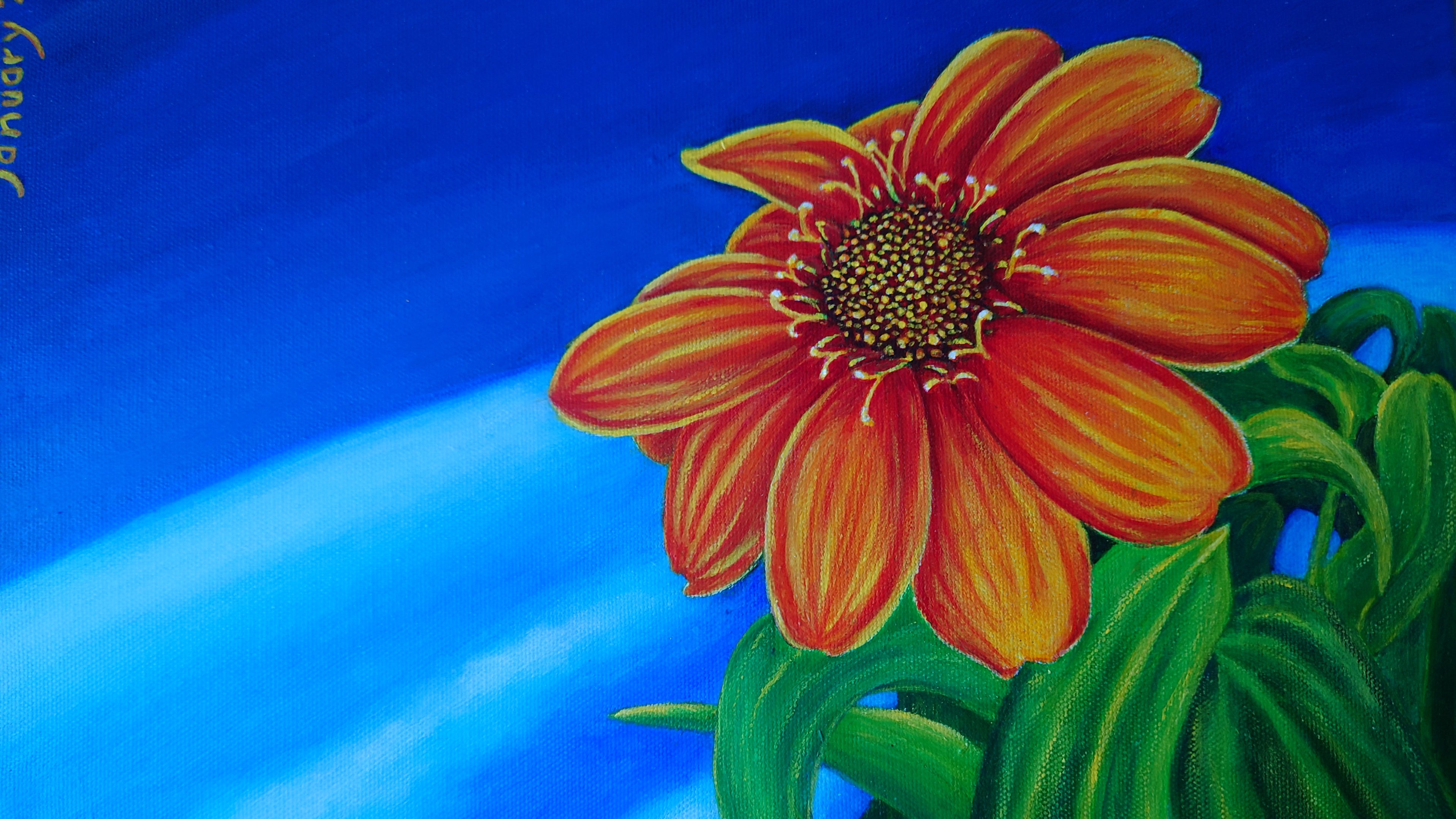 Space Flower