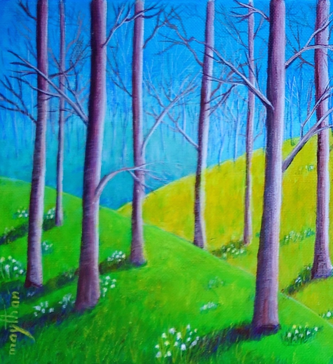 Snowdrops