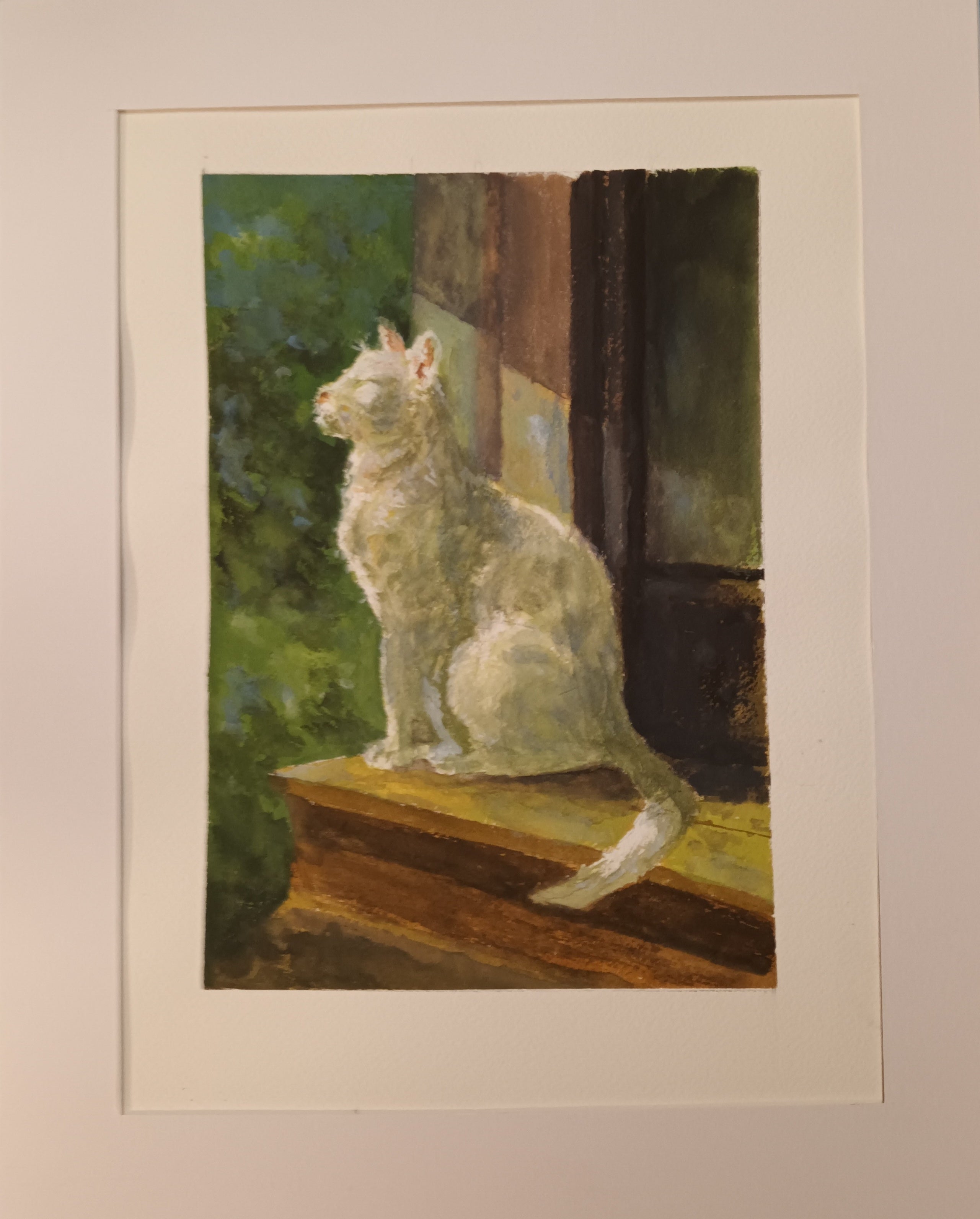 "White Cat in the Moonlight"