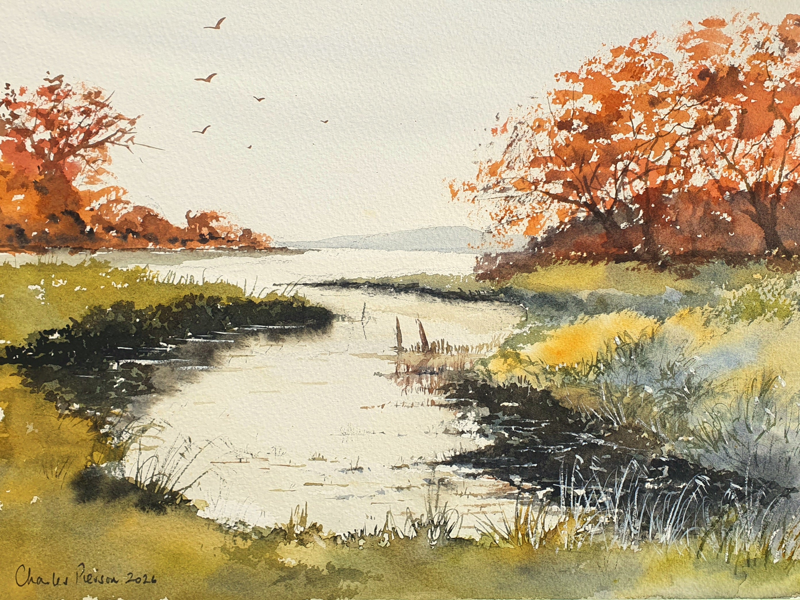 Meadow Bank Reflections