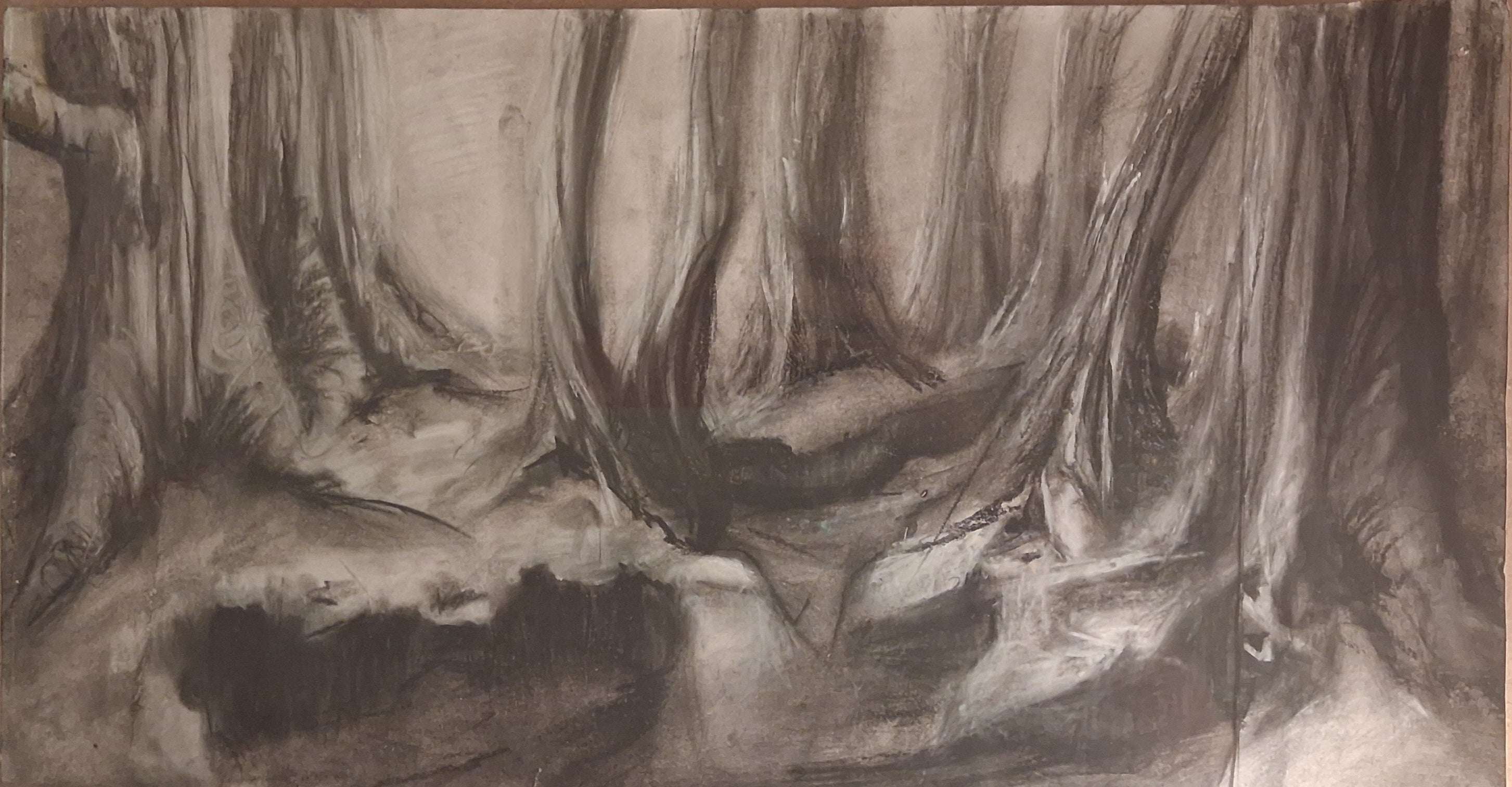Beneath the Canopy