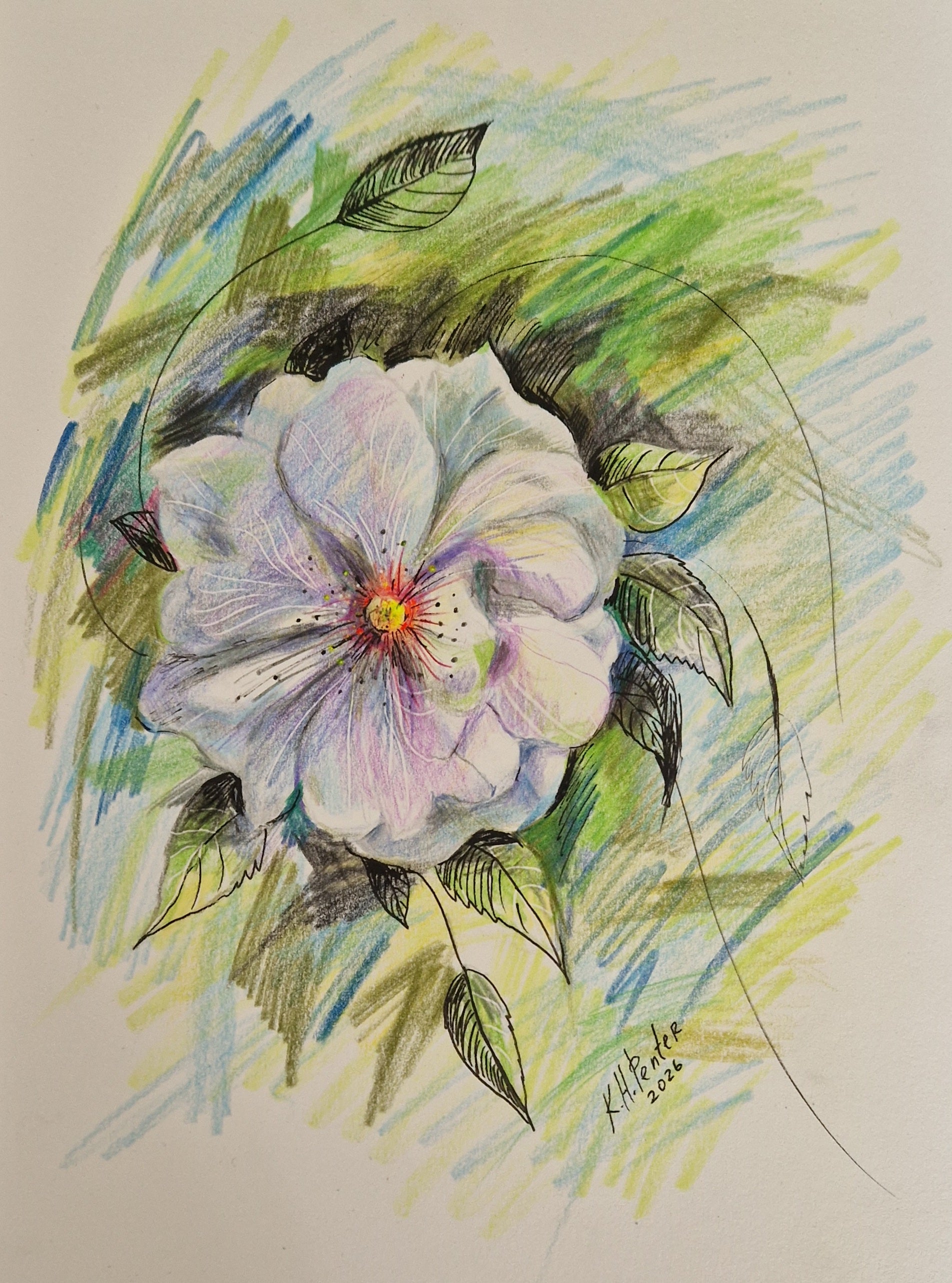 Sunny Day Rose
