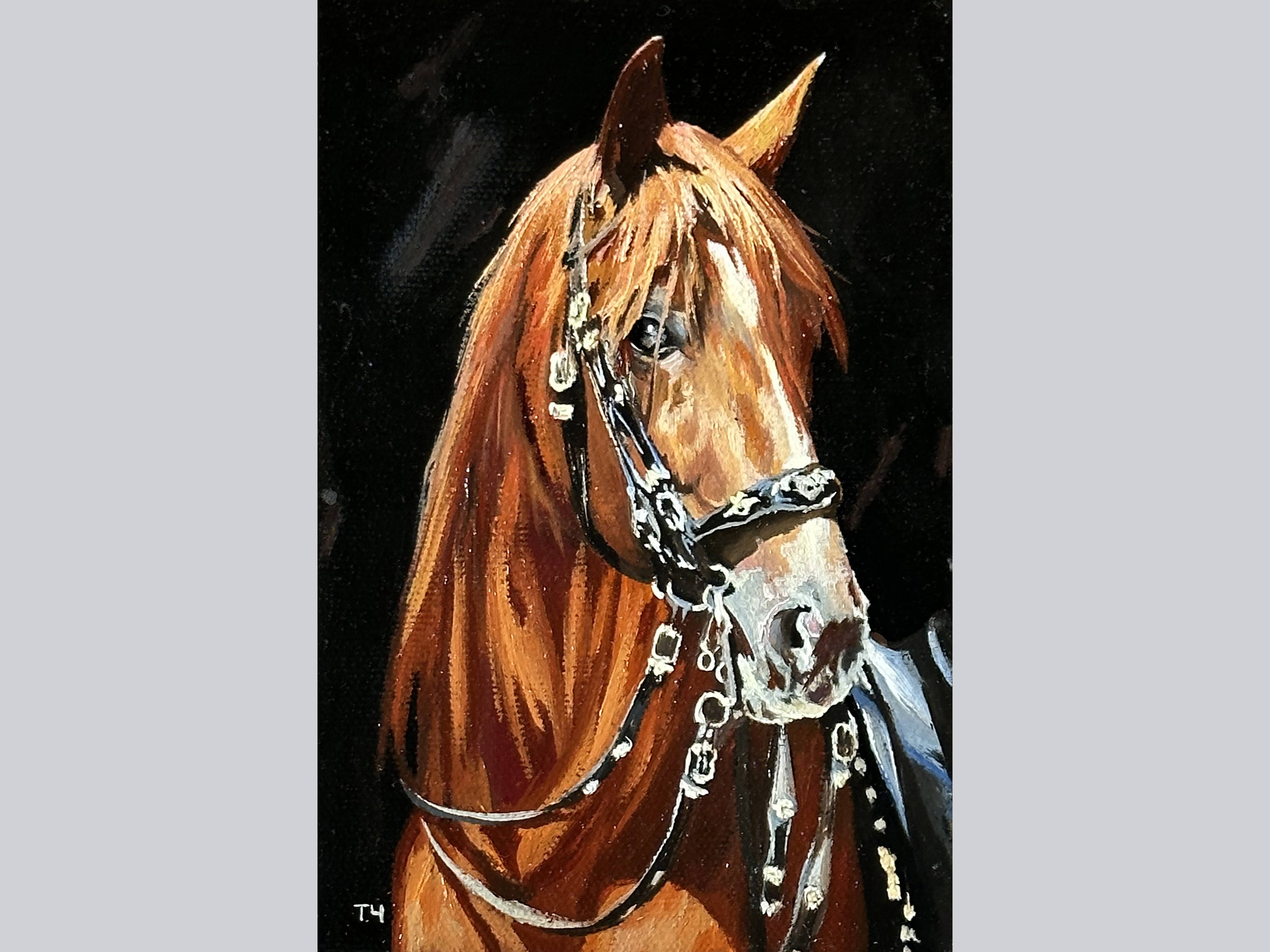 Brown horse in harness