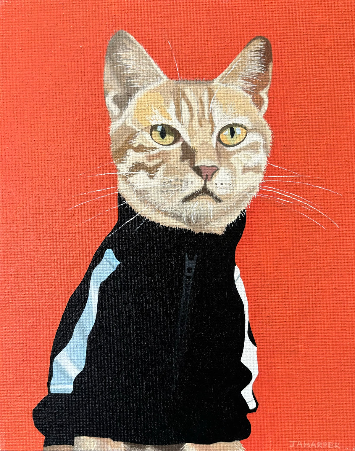 Sporty Cat