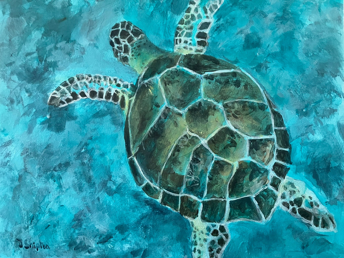 Sea Turtle