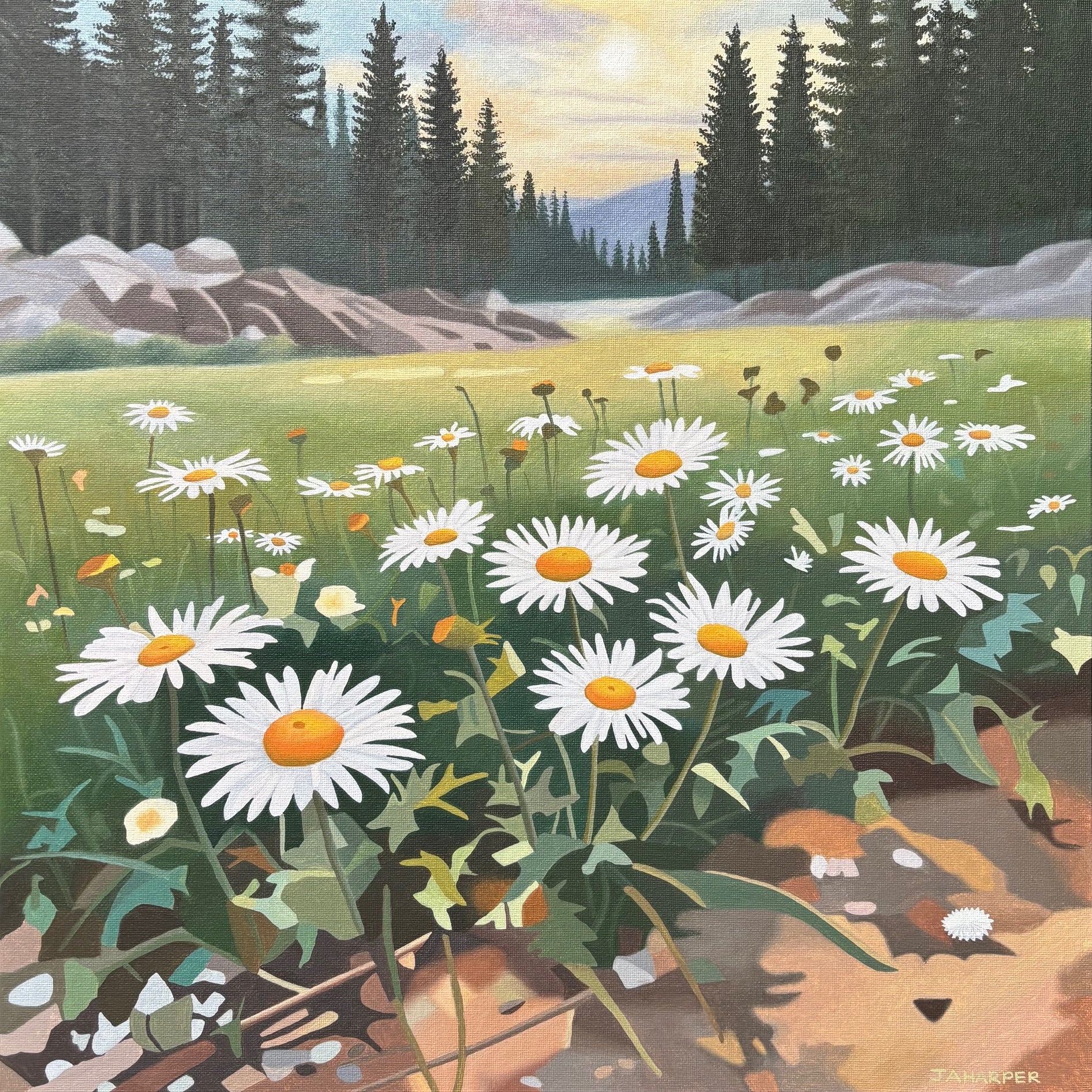 Morning Walk, With Daisies