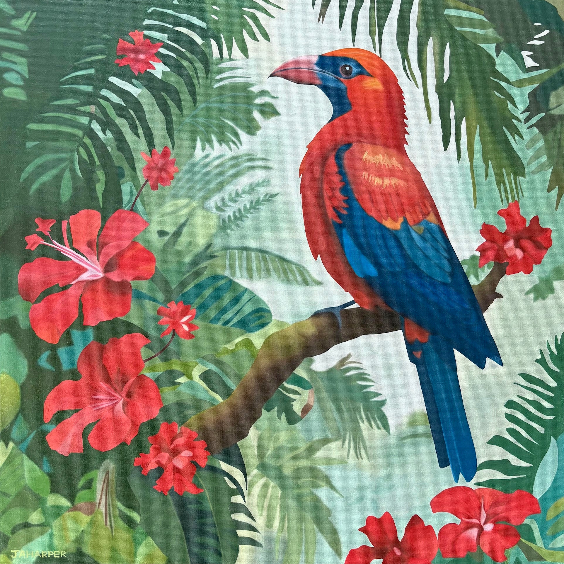 Tropical Bird With Red