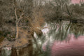 A Rosy River in Springtime