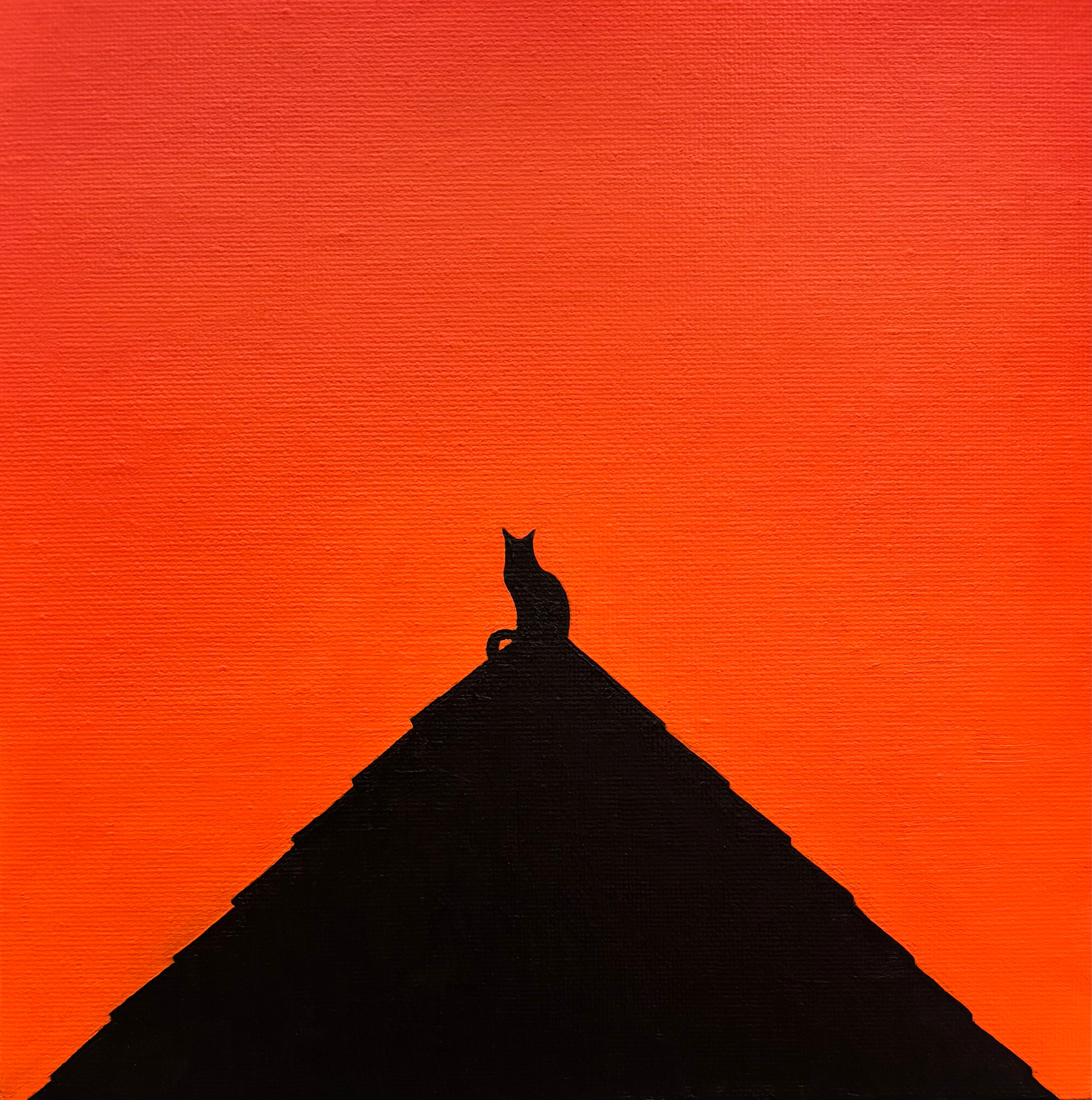 The Cat And The Sunset