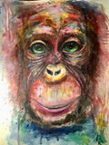 Monkey