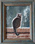 Gray Cat