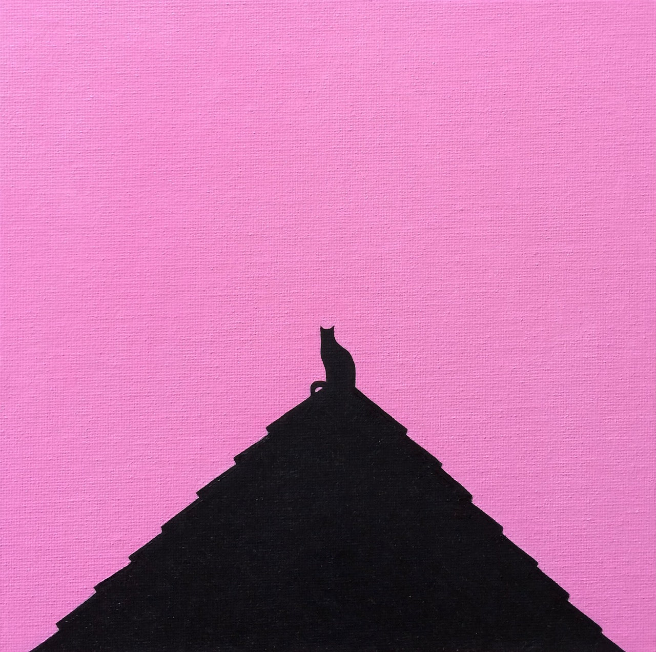 The Cat And The Pink Sunset