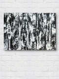 Birch tree
