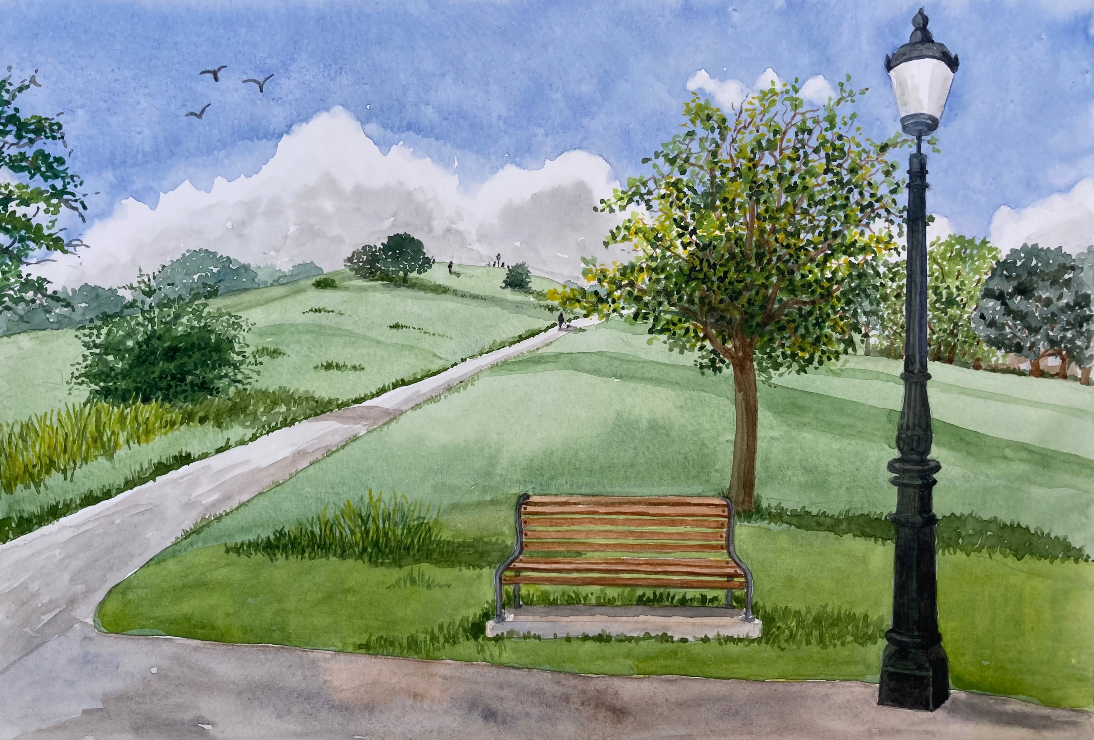 PRIMROSE HILL SPRING