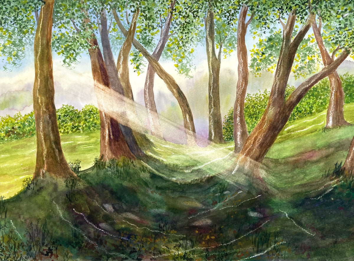 A WALK IN THE WOODS