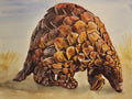 Pangolin ballpoint pen drawing
