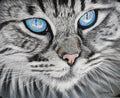 "BLUE EYES"