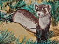 Ferret ballpoint pen drawing