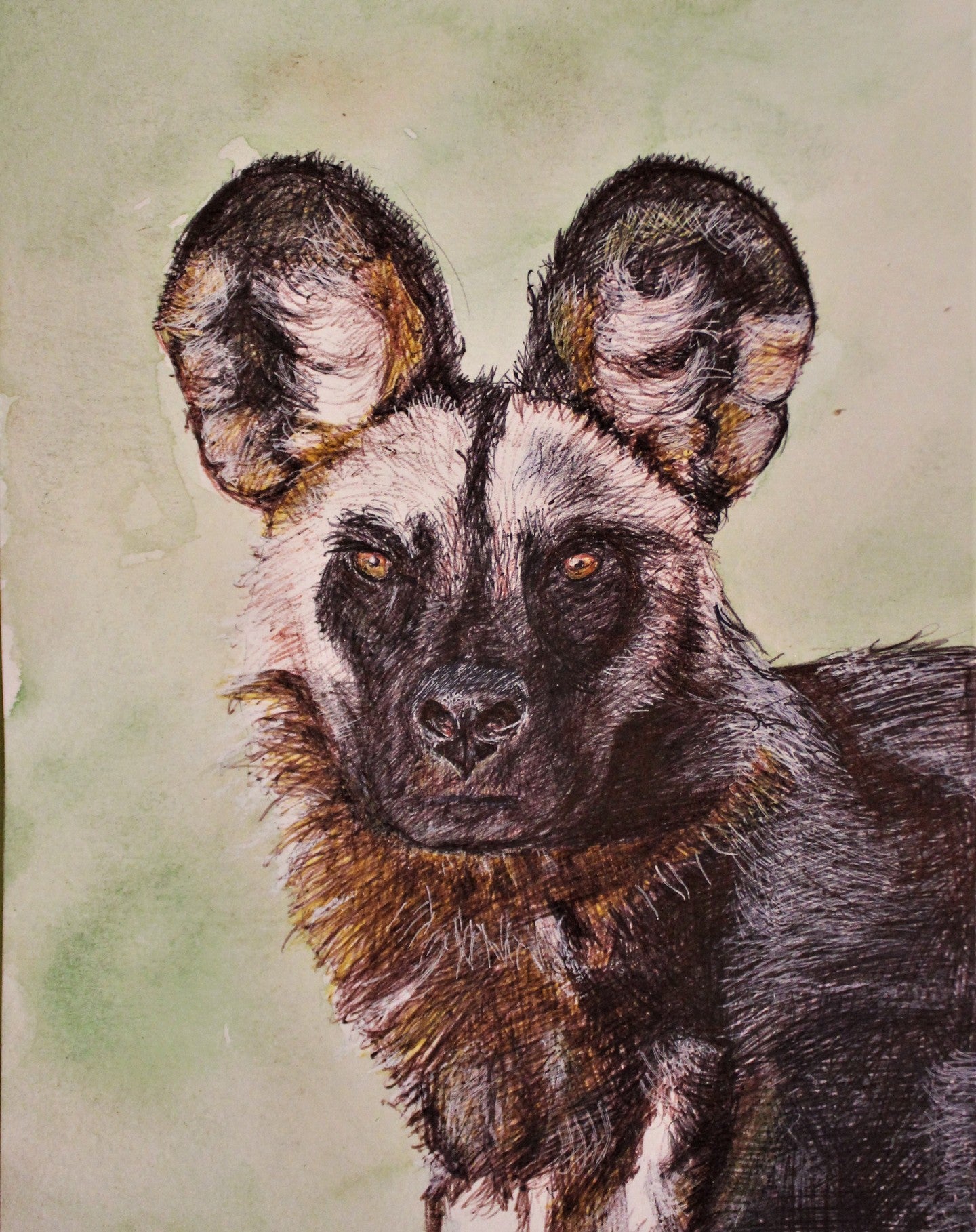 African Wild Dog ballpoint pen drawing