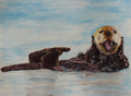 Sea Otter ballpoint pen drawing