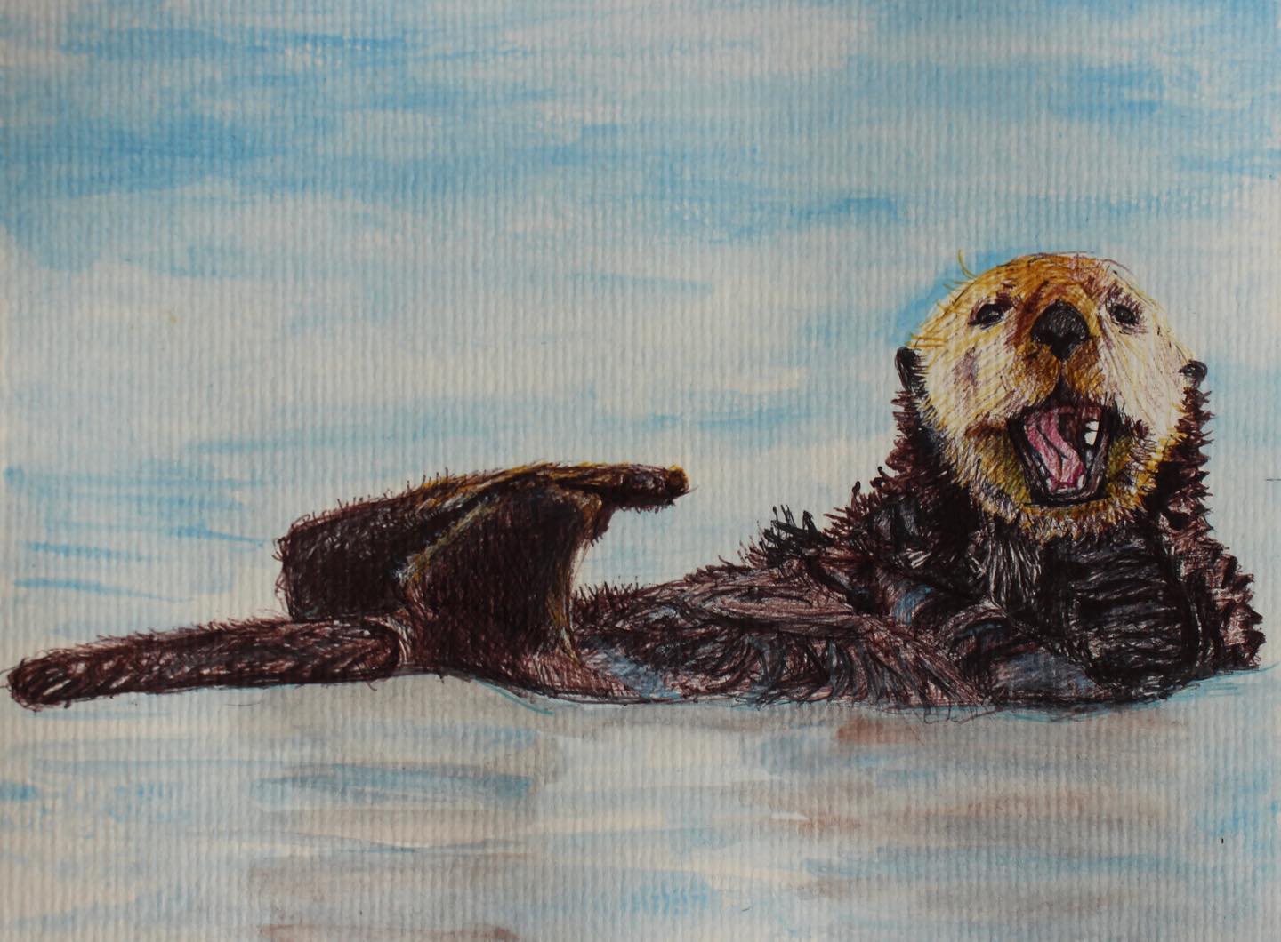 Sea Otter ballpoint pen drawing
