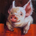 Pig