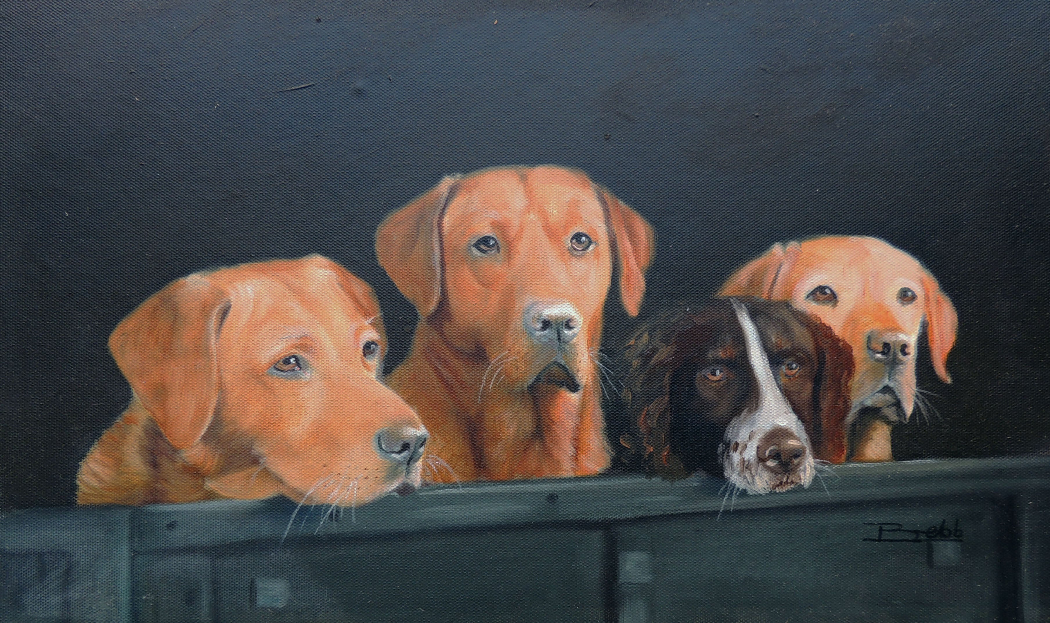 Team working dogs