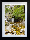 'Ashness Bridge'  (Portrait Style) - English Lake District