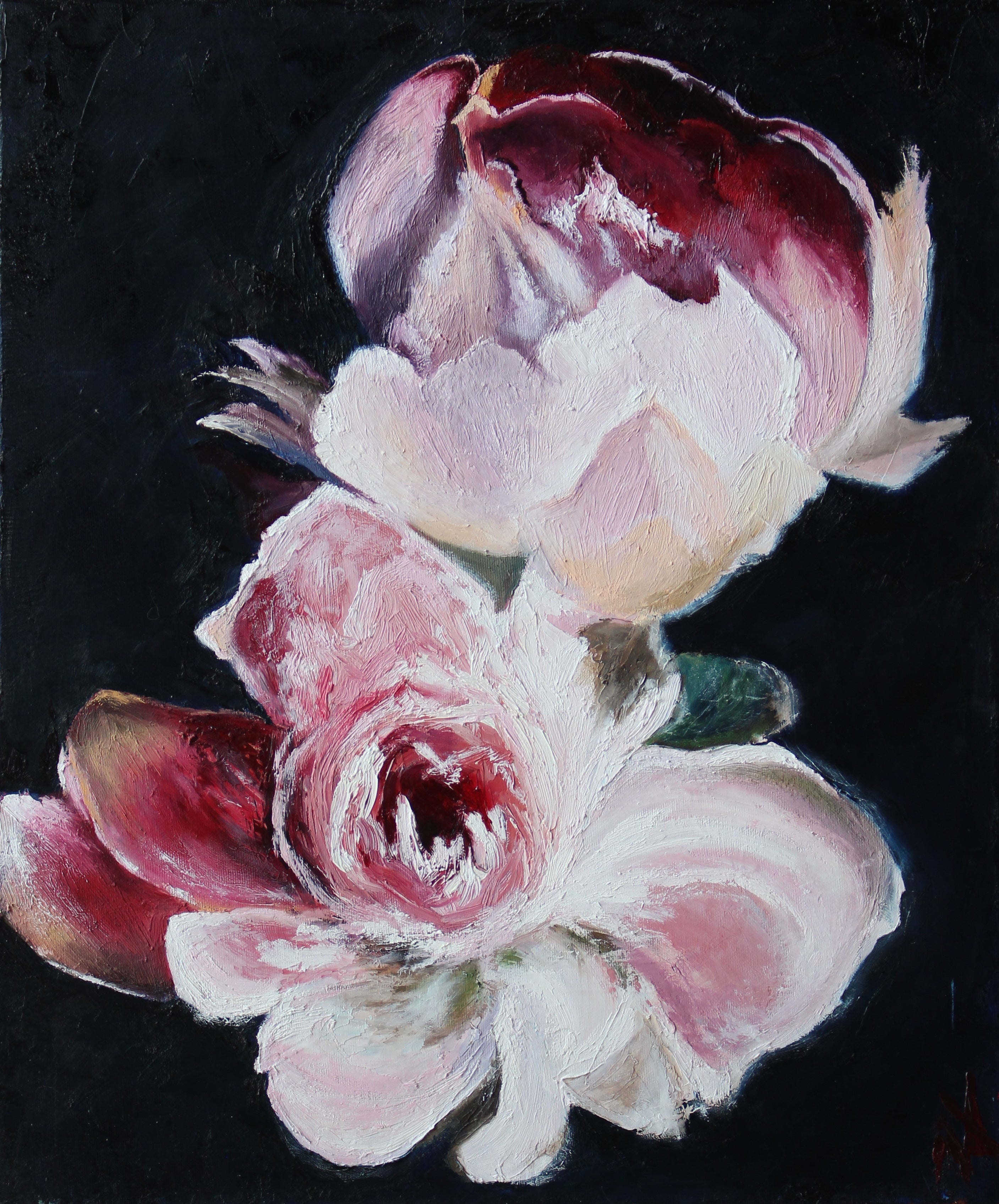 Peonies