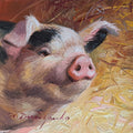 Pig mini art oil painting