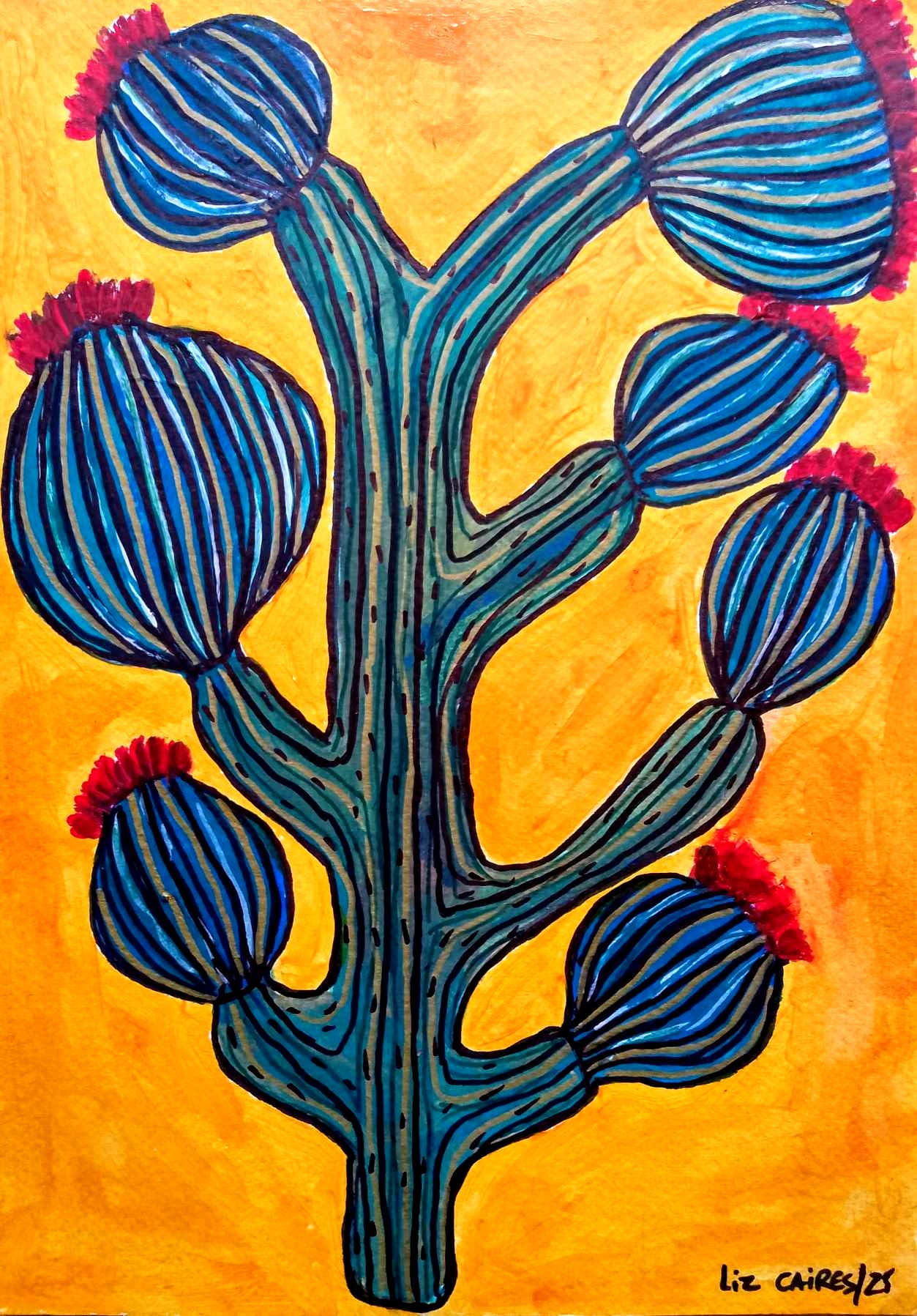 Fig Cactus