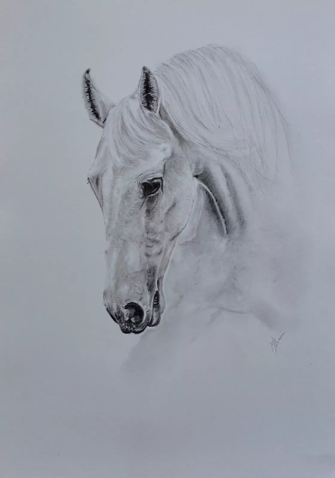 The White Horse