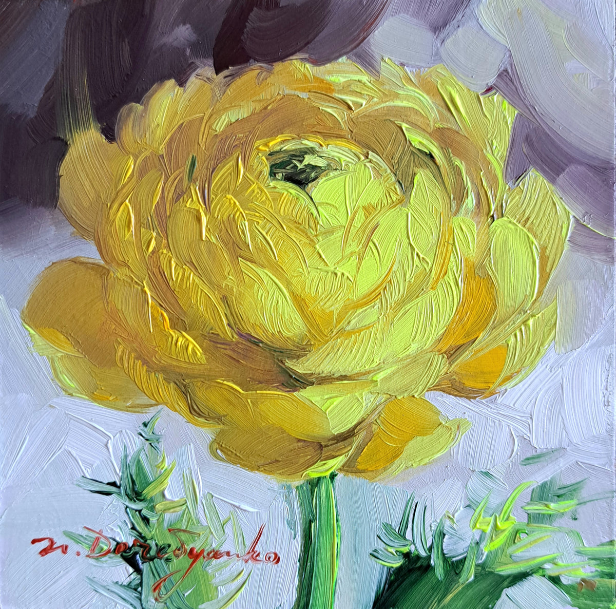 Flower unique Ranunculus flower