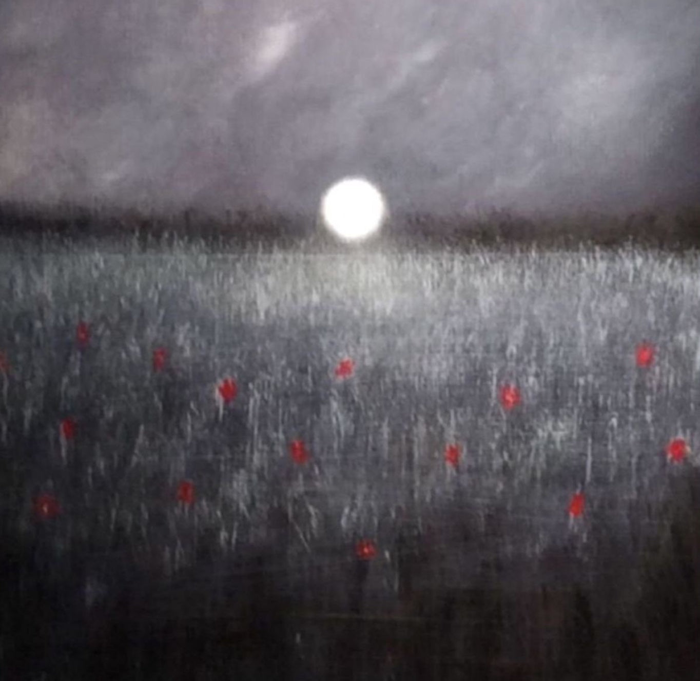 “Rose Field At Midnight” 34x34cm