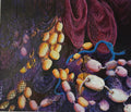 Fishing nets and floats