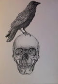 As the crow dies