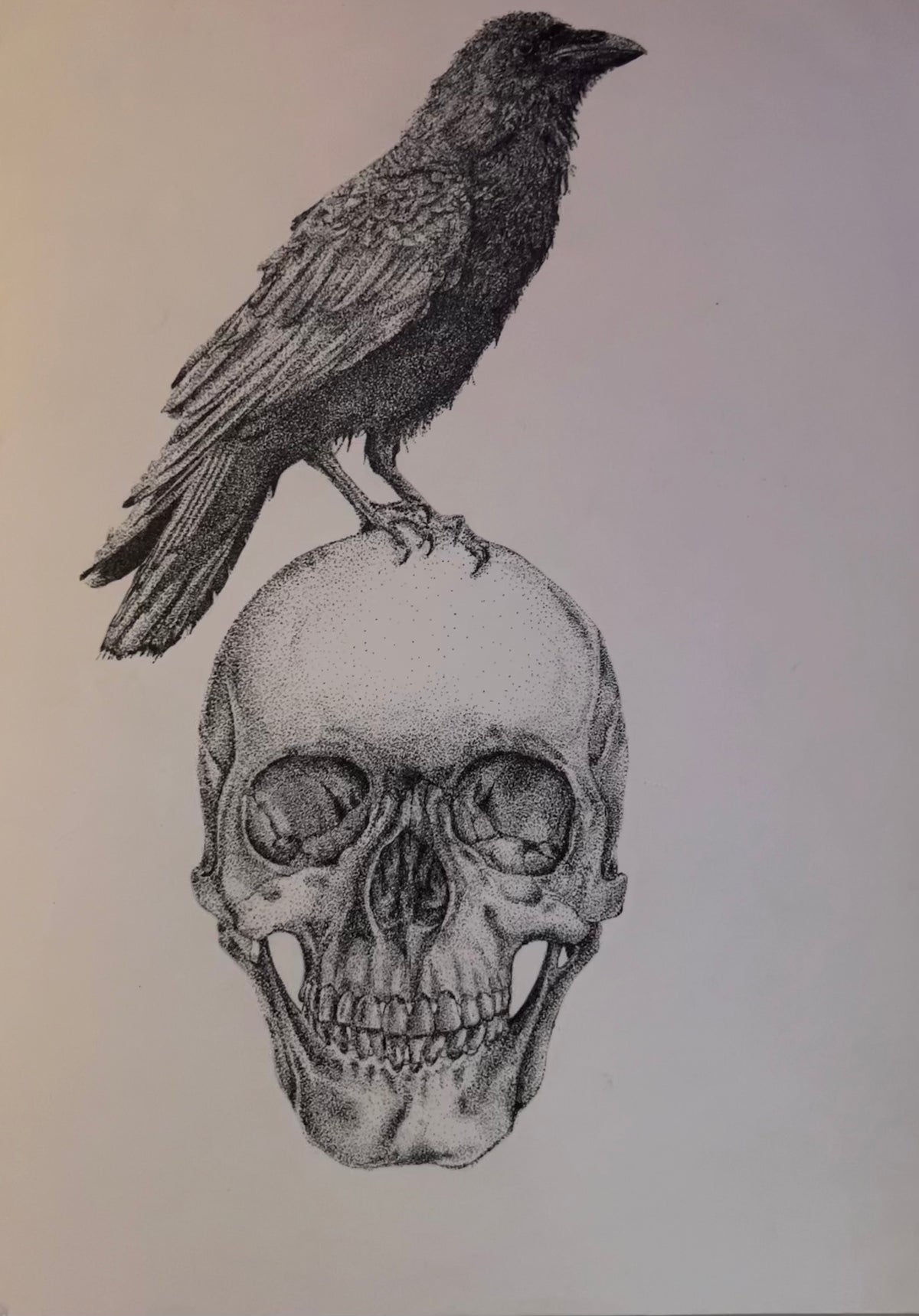 As the crow dies