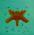 Starfish