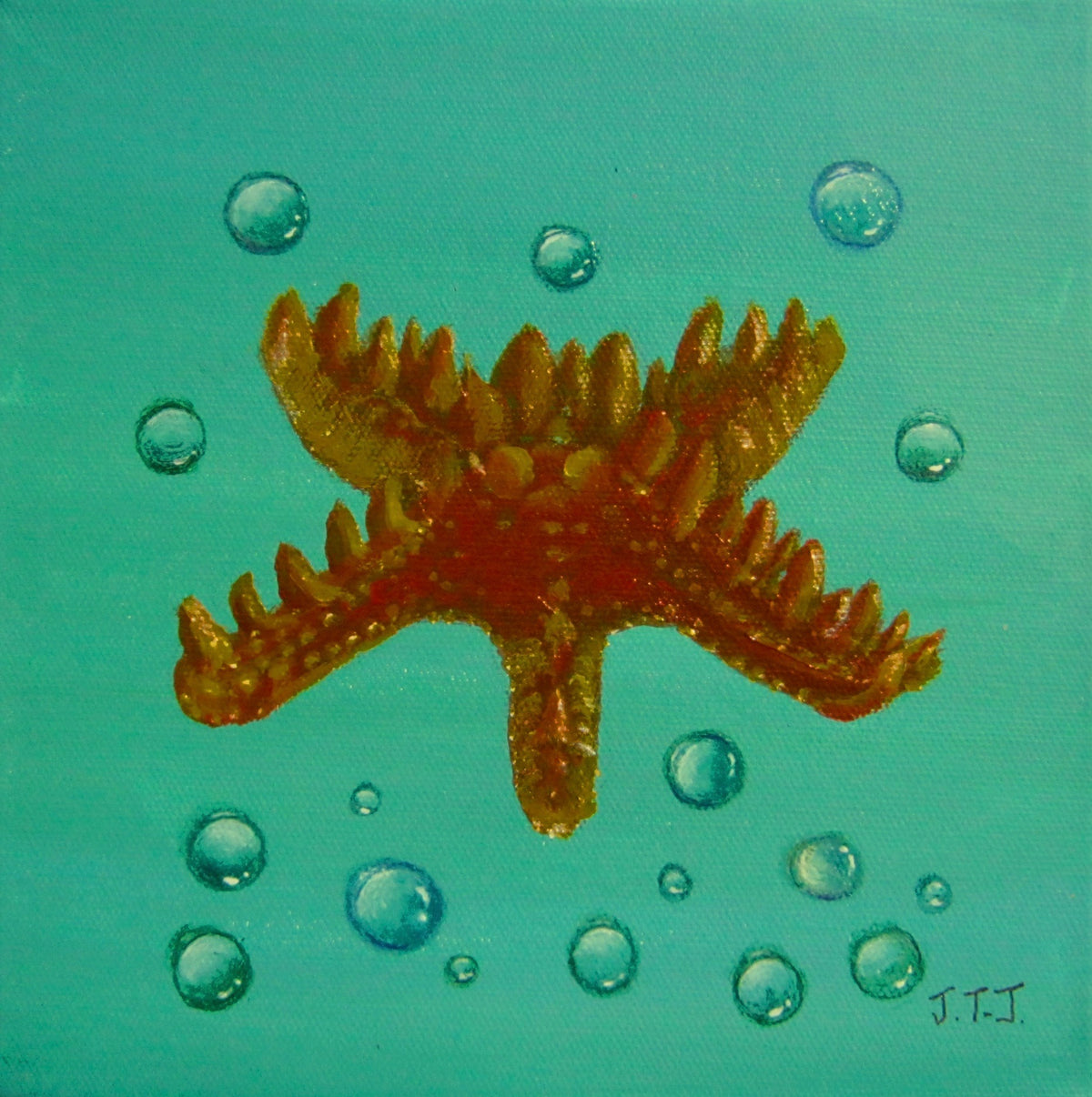 Starfish
