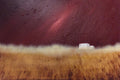 “Crimson Dusk” 91x61x2cm