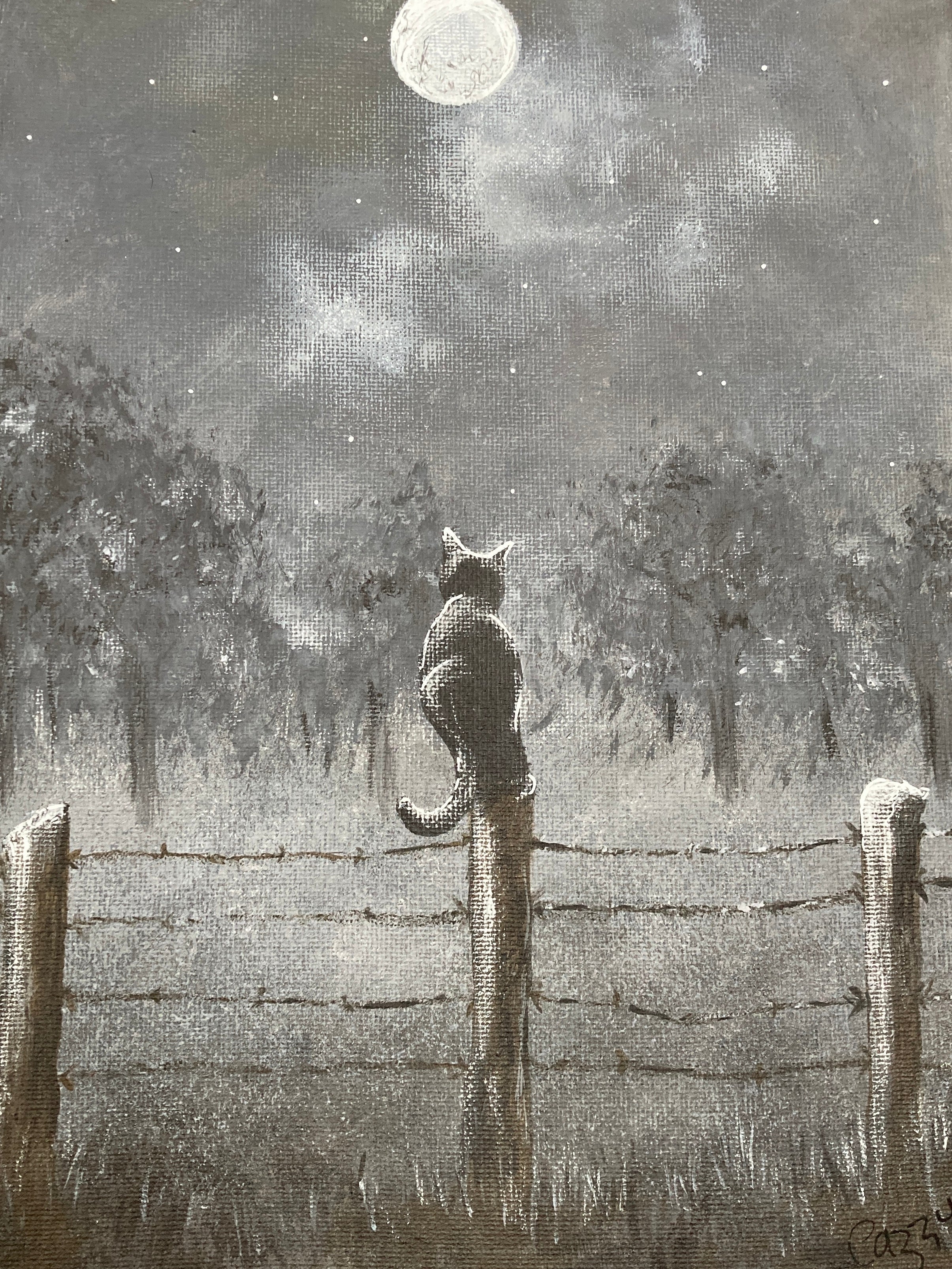 Cat at Dawn