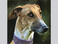 Miniature "The Charm of the English Greyhound"