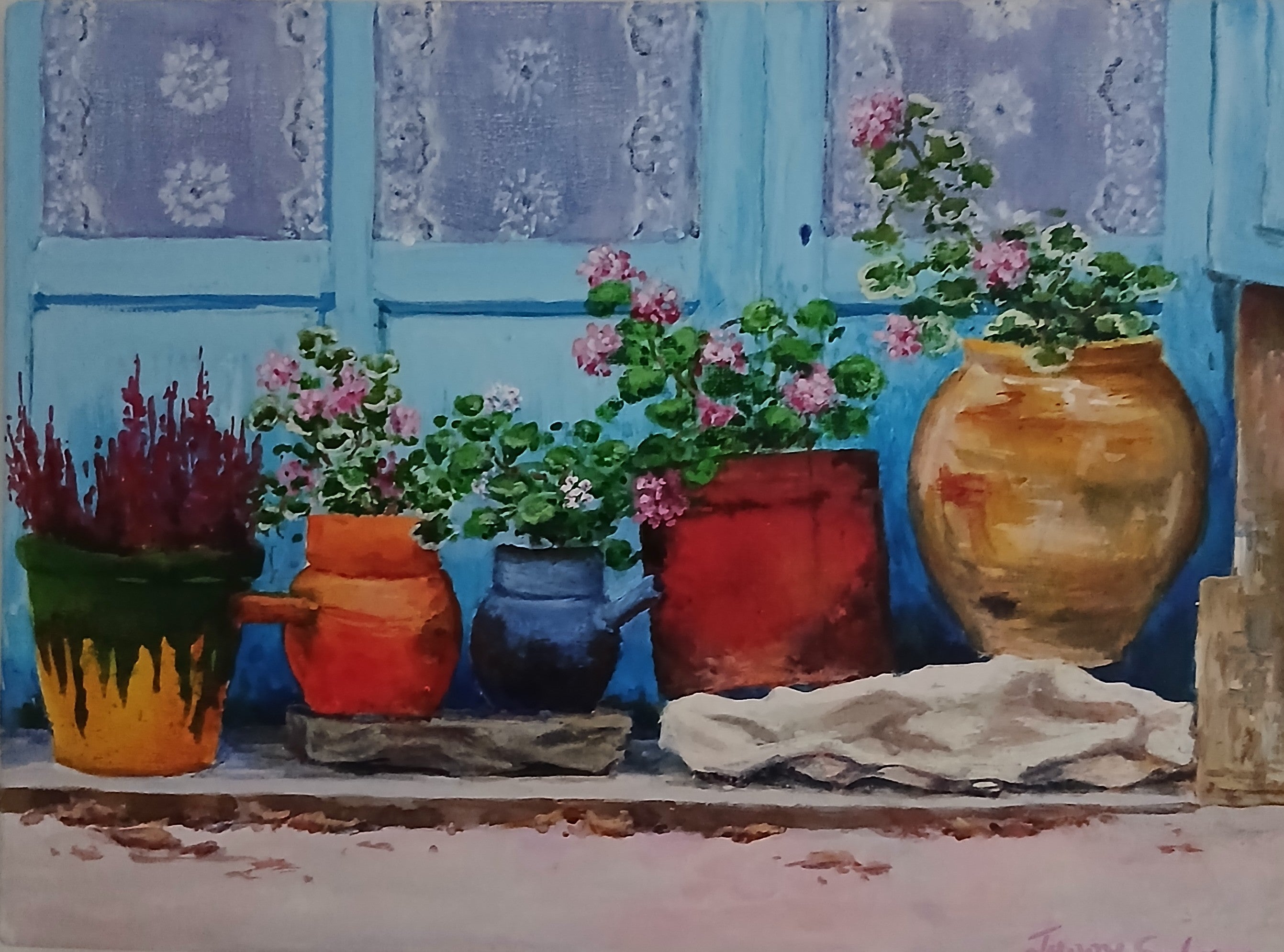 Pots and Plants