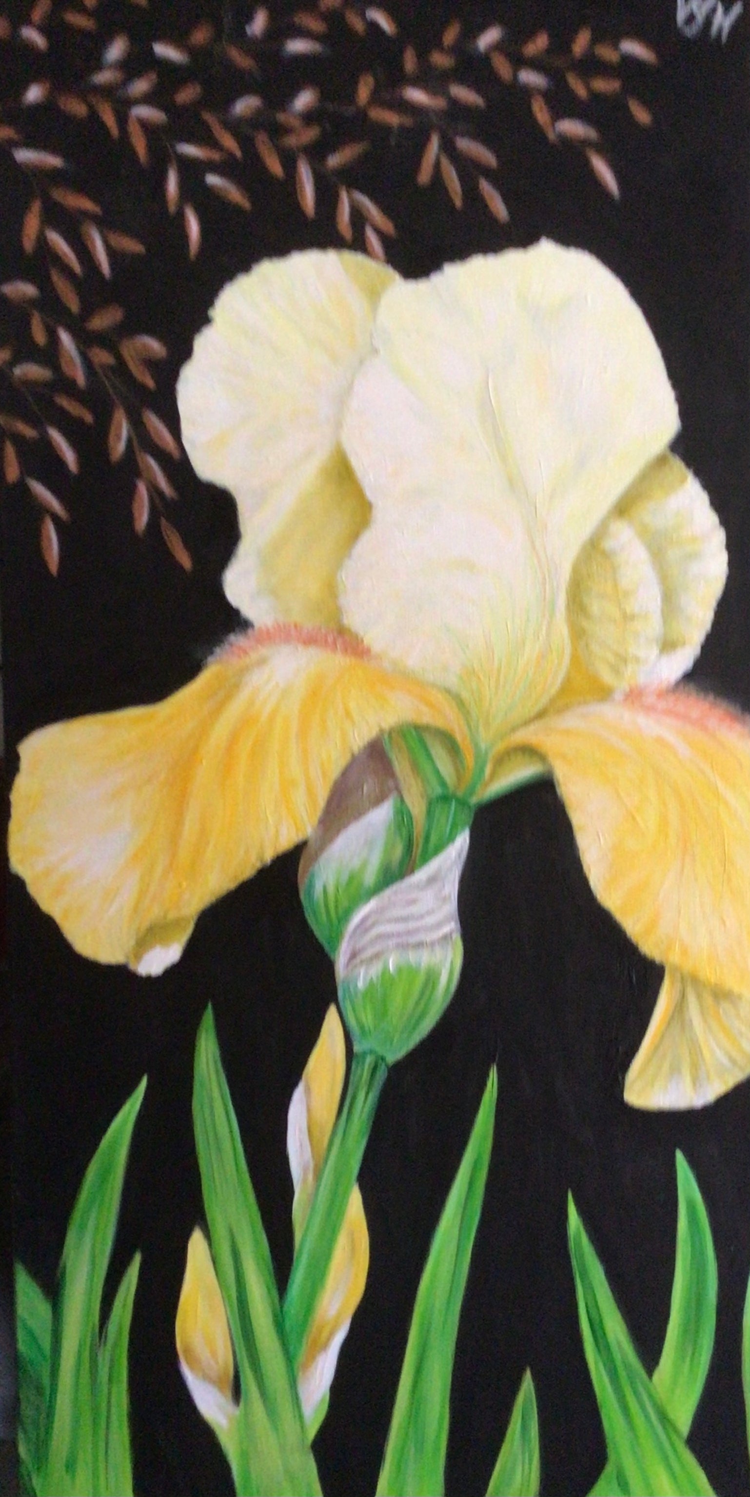Vibrantly Yellow 2