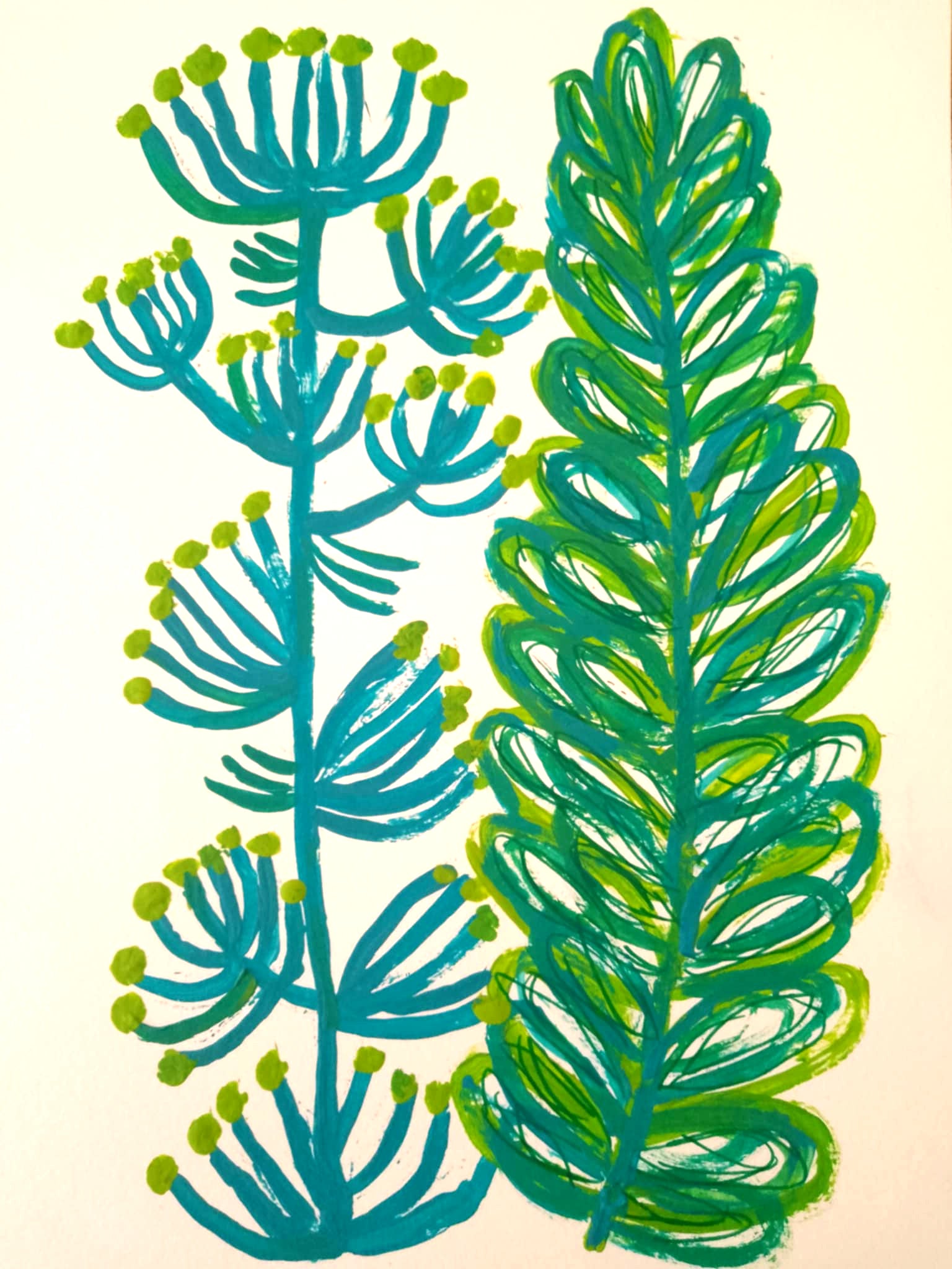 Mediterranean Plants