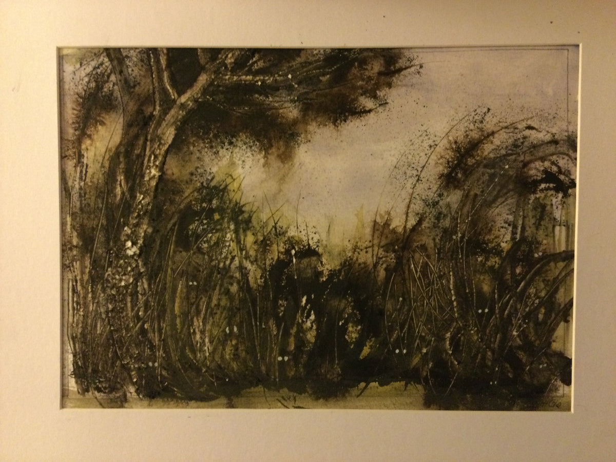 Hedgerows and undergrowth
