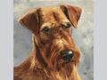 "Miniature "Irish Terrier"