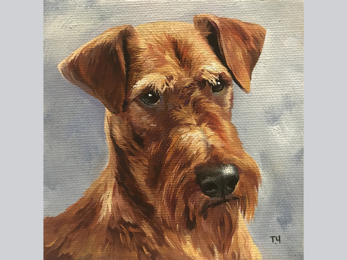 "Miniature "Irish Terrier"