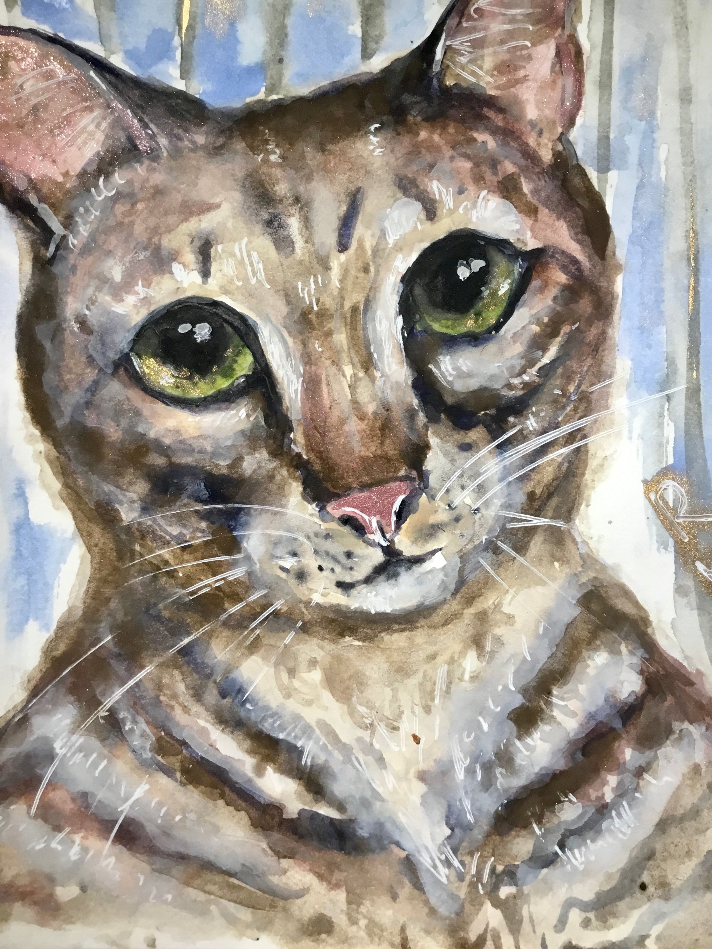 Andy - cat watercolor painting