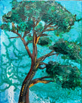 California pine